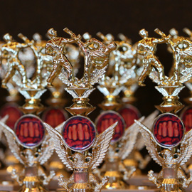 manustrophy07pokale.JPG