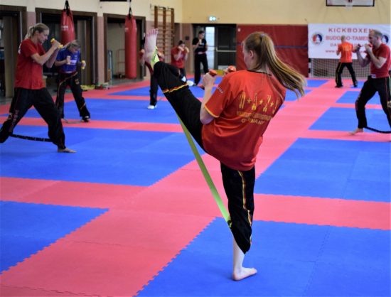 Explosivkraft Training